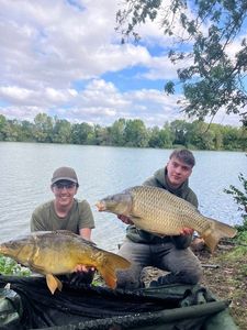 Mirror Carp