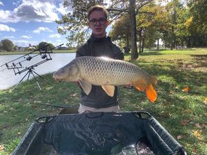 Common Carp