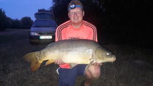 Mirror Carp