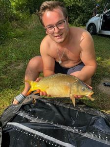 Mirror Carp