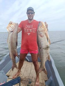 Giant African Threadfin