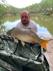 Mirror Carp
