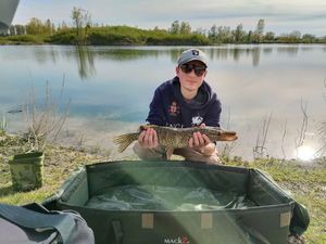 Northern Pike