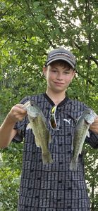 Black bass