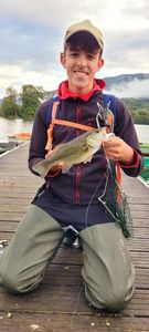 Largemouth Bass