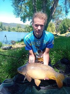 Mirror Carp