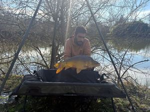 Mirror Carp