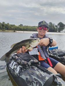 Largemouth Bass