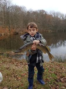 Northern Pike