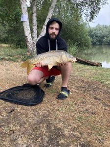 Mirror Carp