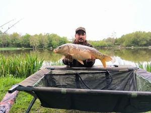 Mirror Carp