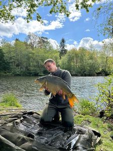 Mirror Carp