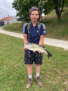 Largemouth Bass