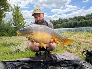 Mirror Carp