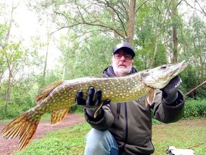 Northern Pike