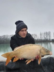 Mirror Carp
