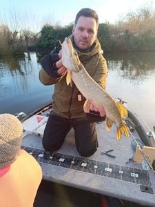Northern Pike