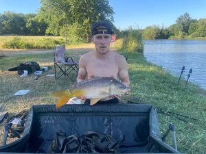 Mirror Carp