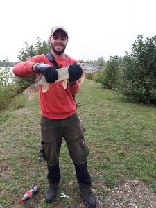 Northern Pike