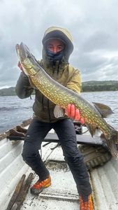 Northern Pike