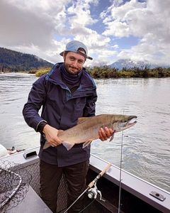 Chinook Salmon