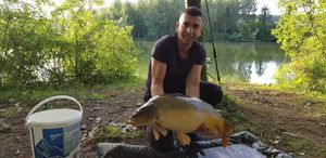 Mirror Carp