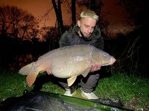 Mirror Carp