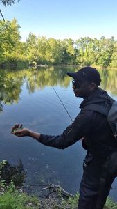 Largemouth Bass