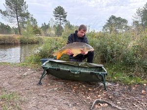 Mirror Carp