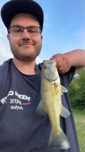 Smallmouth Bass