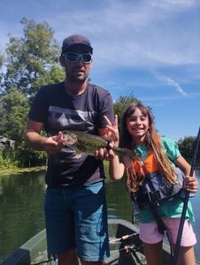 Largemouth Bass