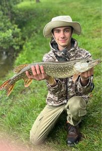 Northern Pike