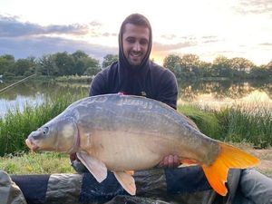 Mirror Carp