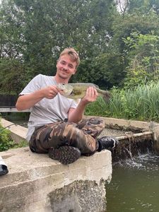 Largemouth Bass