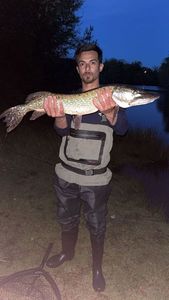 Northern Pike