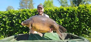 Mirror Carp