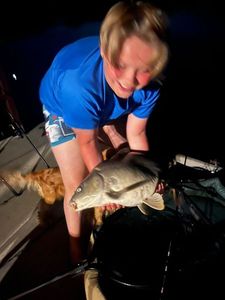 Leather Carp