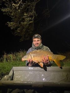 Leather Carp