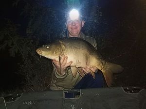 Mirror Carp