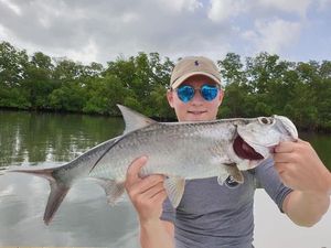 Tarpon