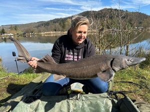 Sturgeon