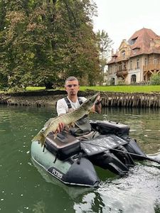 Northern Pike
