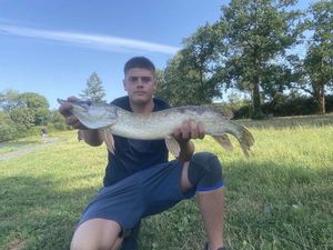 Northern Pike