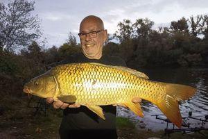 Common Carp