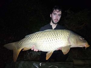 Common Carp
