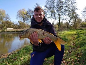 Common Carp