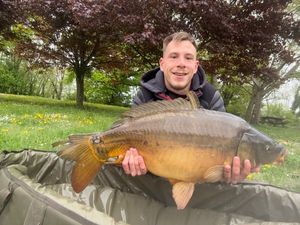 Mirror Carp