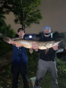 Northern Pike