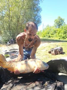 Mirror Carp