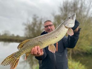Northern Pike